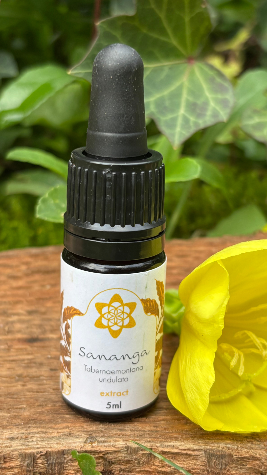 Sananga